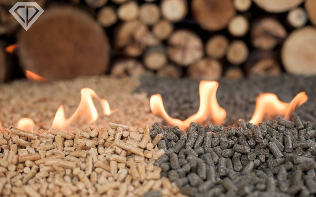Co to jest pellet i jakie są jego rodzaje?