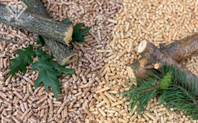 Jaki pellet drzewny wybrać – liściasty czy iglasty?